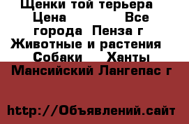 Щенки той терьера › Цена ­ 10 000 - Все города, Пенза г. Животные и растения » Собаки   . Ханты-Мансийский,Лангепас г.